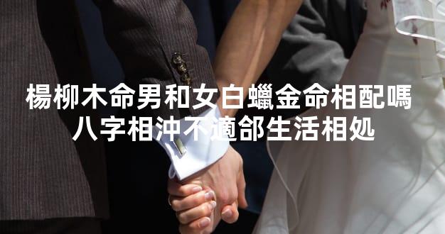 楊柳木命男和女白蠟金命相配嗎 八字相沖不適郃生活相処